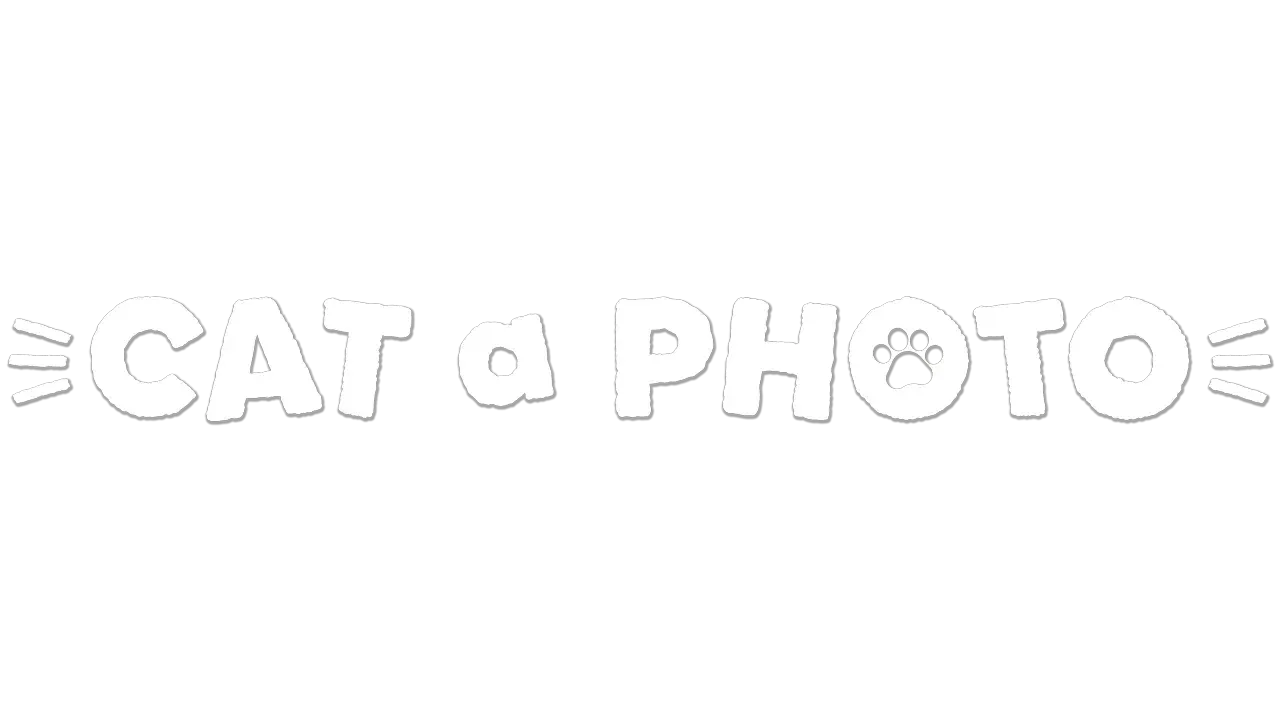 Cat a Photo