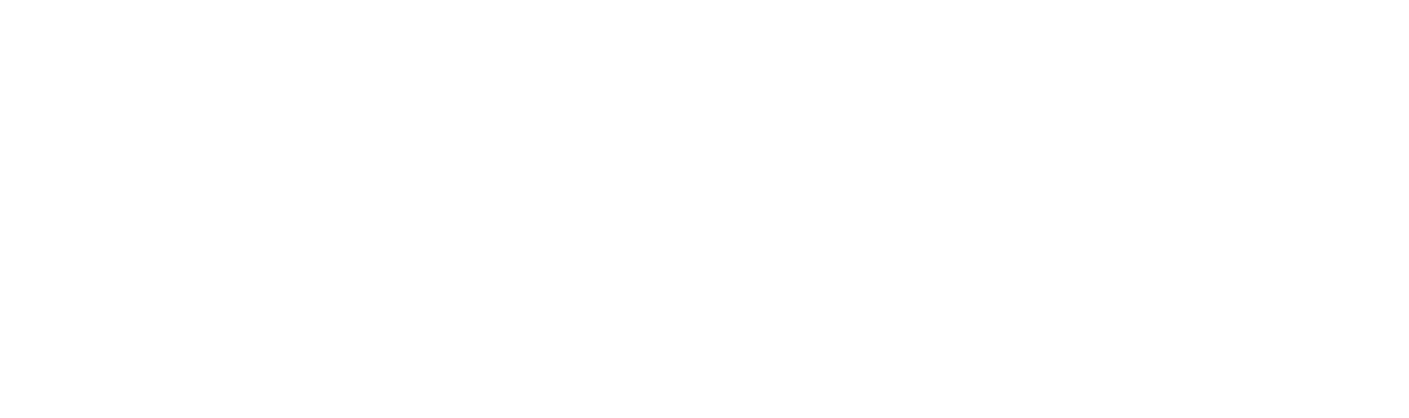 The Adventures of Robin Hood