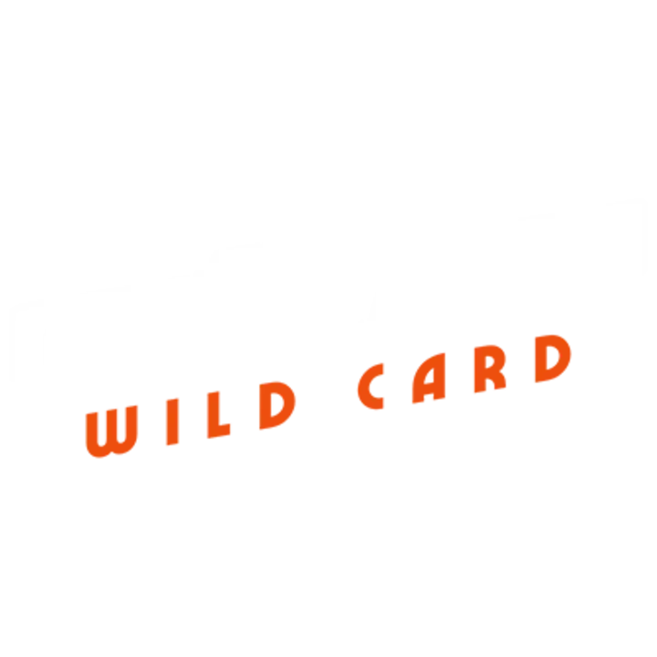 Star Wars Outlaws: Wild Card