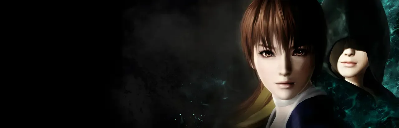 Dead or Alive 5 Last Round artwork 292915
