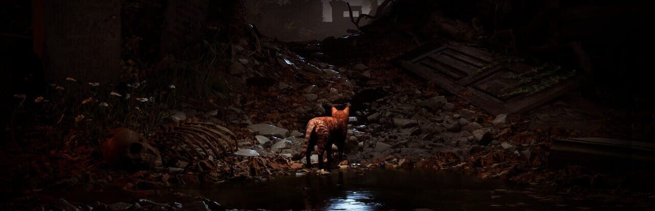 Meowmories artwork 1