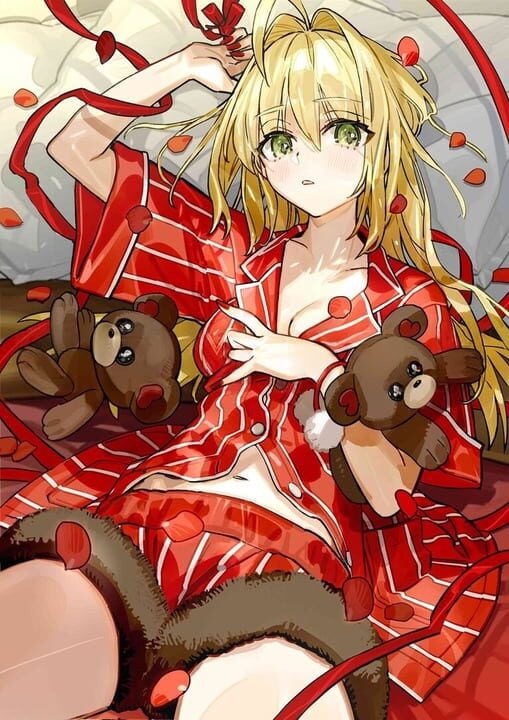 Fate/Extra Record: Animate Limited Set
