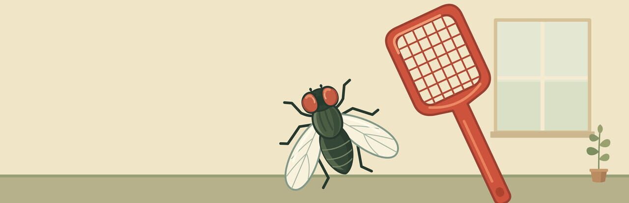 Just One More Fly
