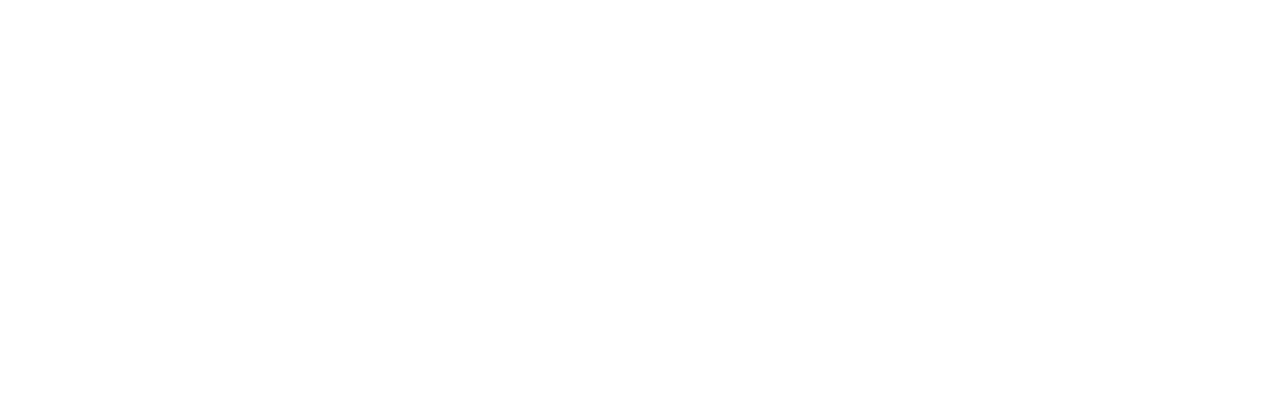 Screenwave Media Logo