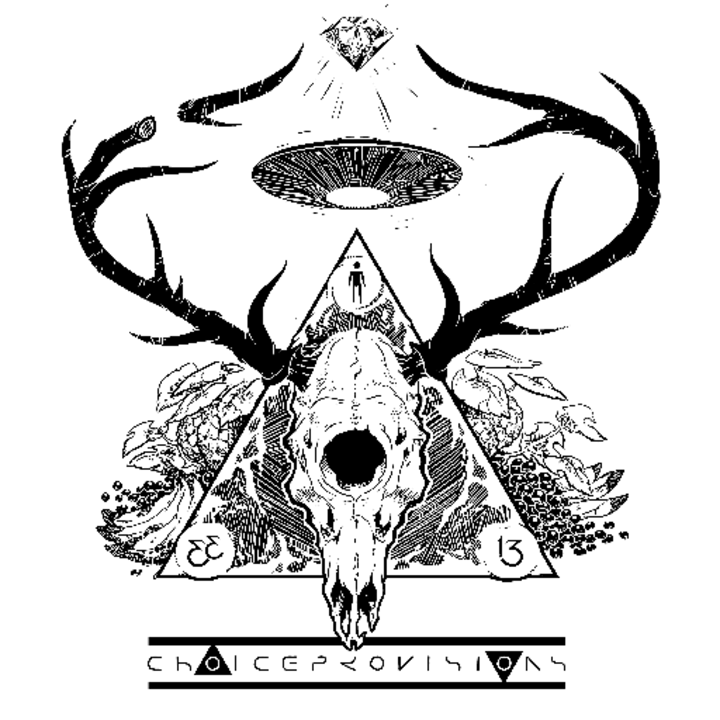 Choice Provisions Logo