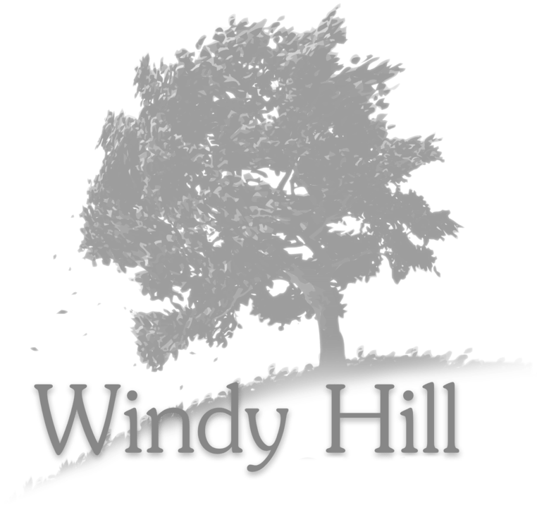 Windy Hill Studio Logo