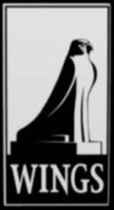 Wings Simulation GmbH Logo