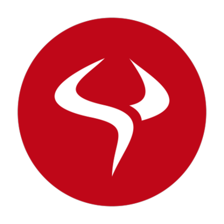 Tiny Bull Studios Logo