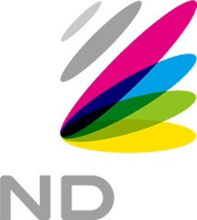 NetDragon Logo