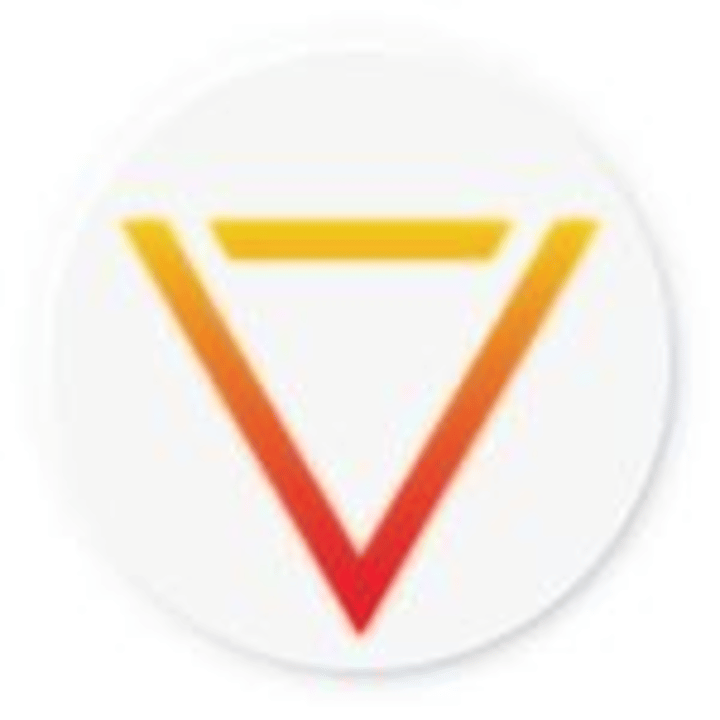 Visionaries LLC Logo