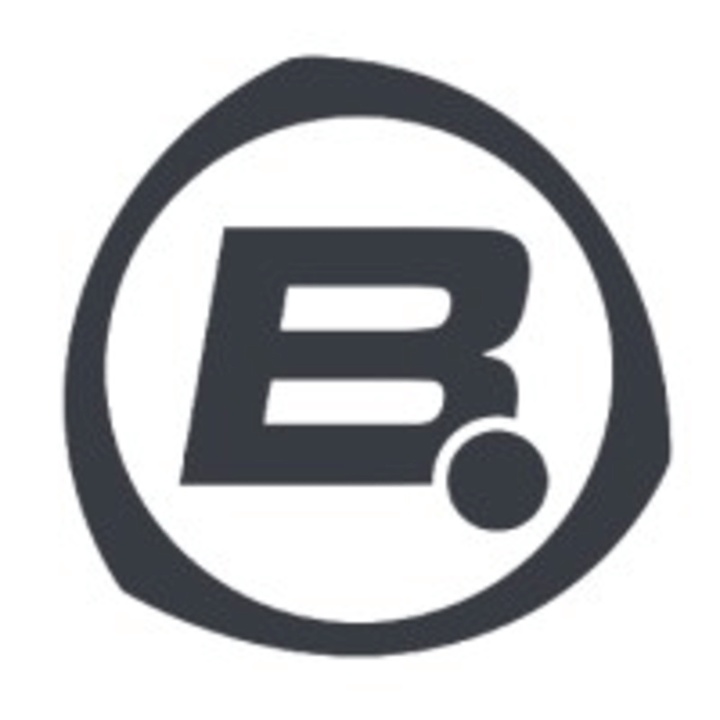Bigpoint Logo