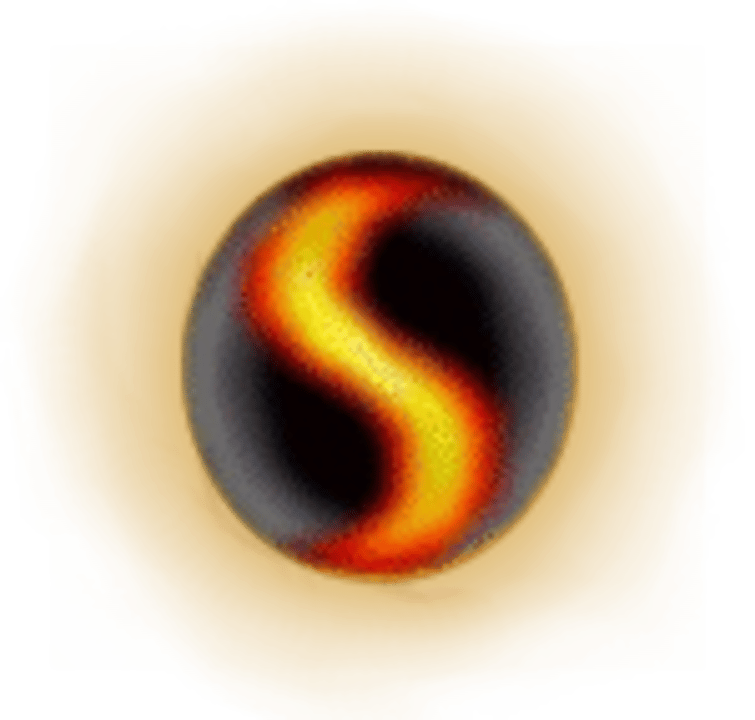 Software Dynamics Logo