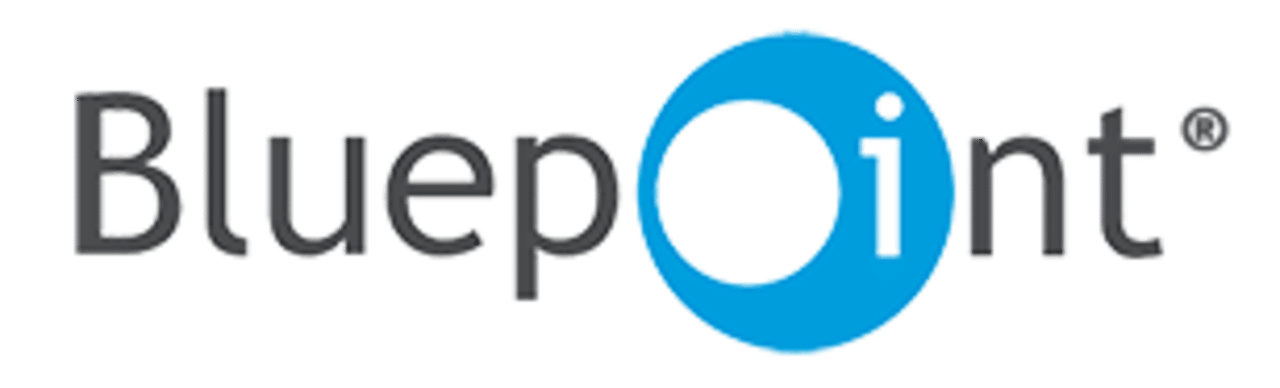 Bluepoint Games Logo