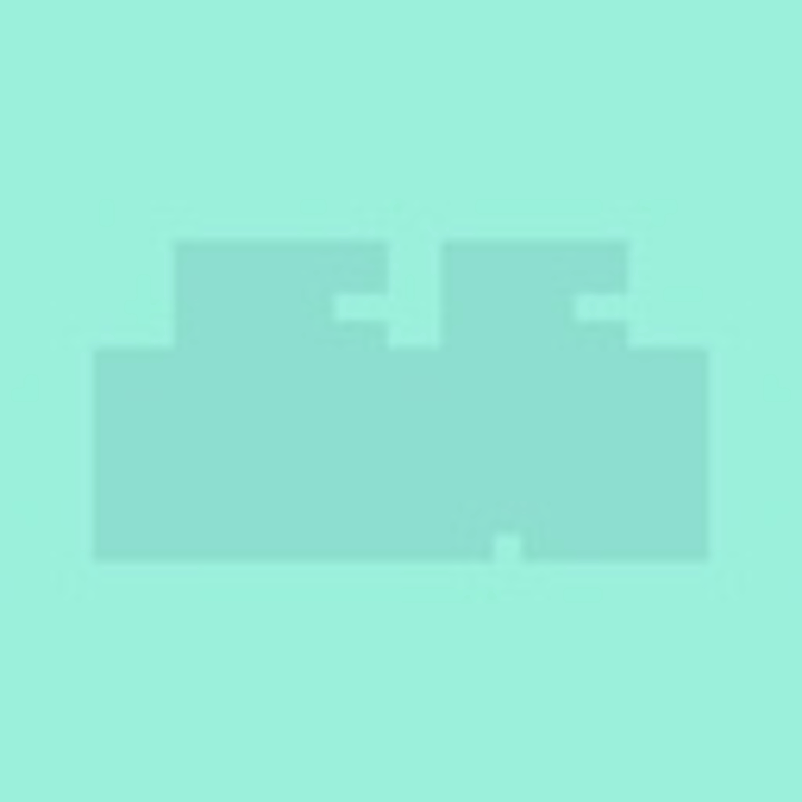 WANPAKU PIXELS Logo