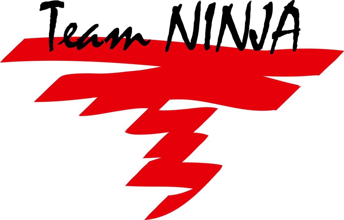 Team NINJA Logo