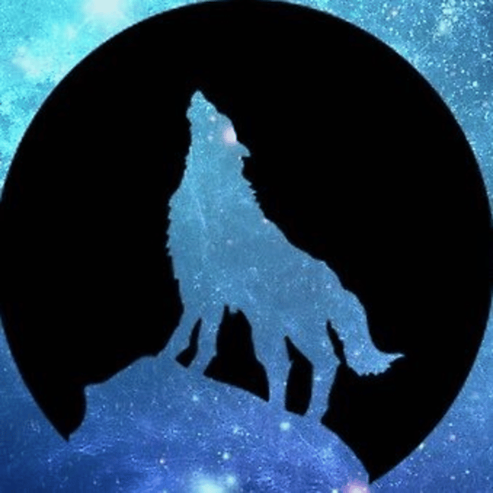 Arctic Wolf Studios Logo