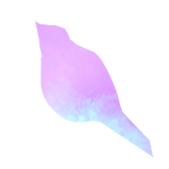 4noki Logo