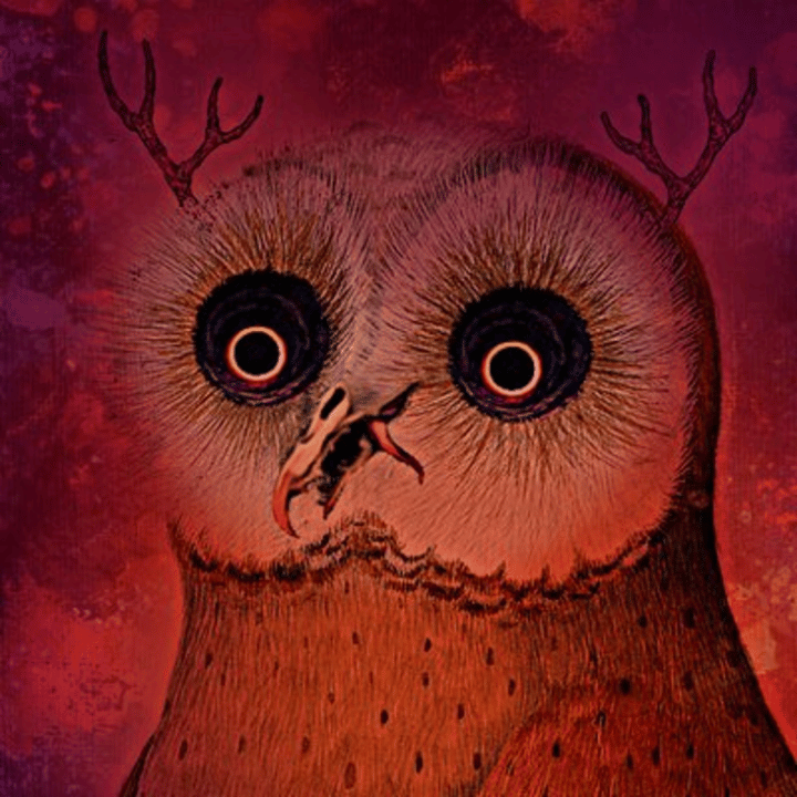 SnowOwl Logo