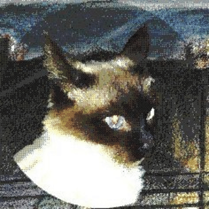 Crimsong Cat Logo