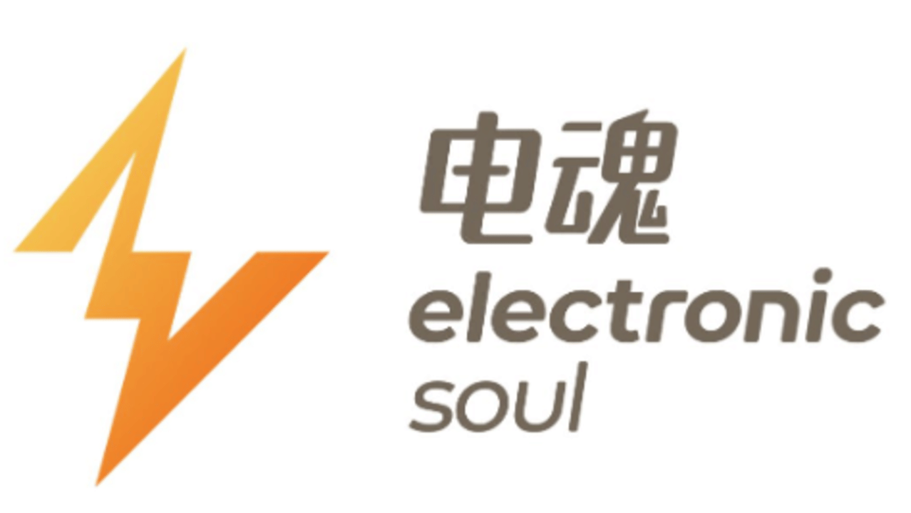 Hangzhou Electronic Soul Network Technology Logo
