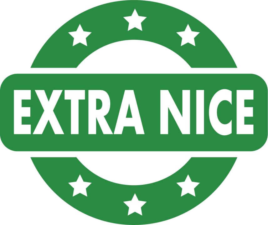 Extra Nice Logo