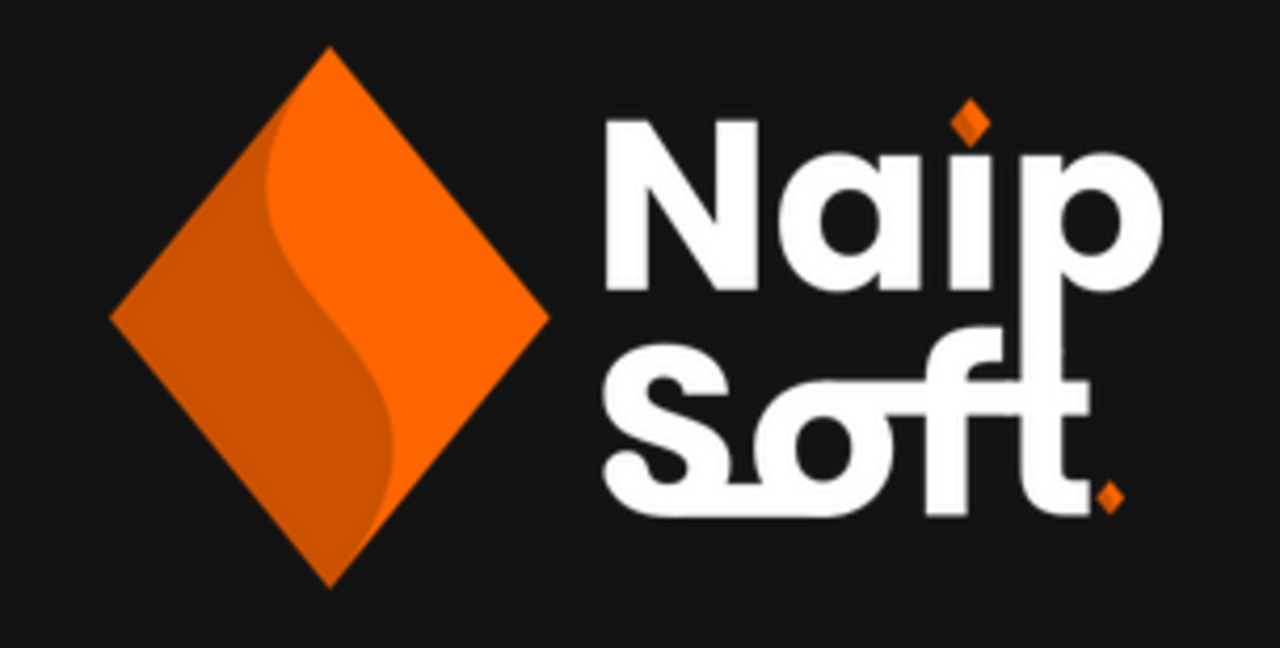 NaipSoft Logo