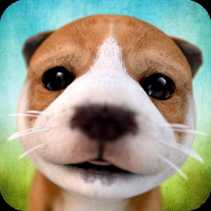 Swift Apps LLC
