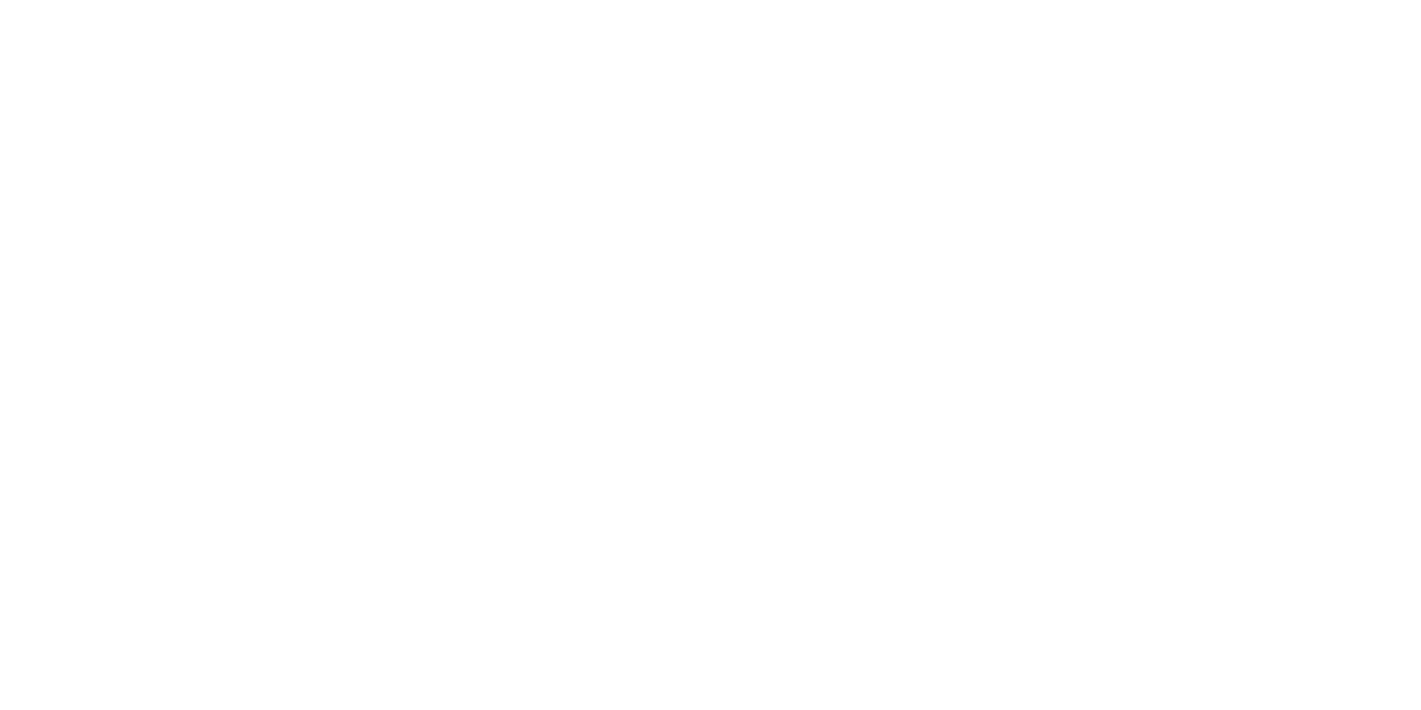 Vividesca Games Logo