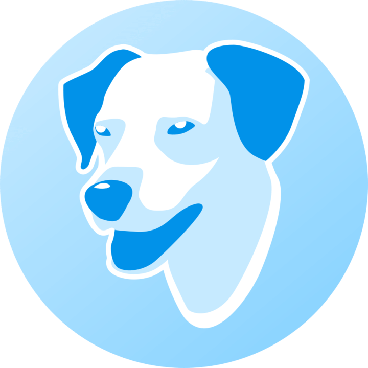 Binogure Studio Logo