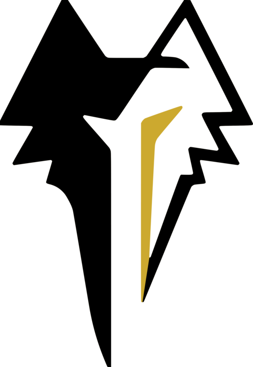 Wolfeye Studios Logo