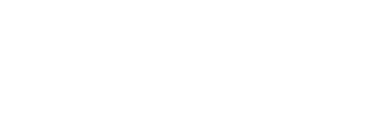 David Marquardt Studios Logo