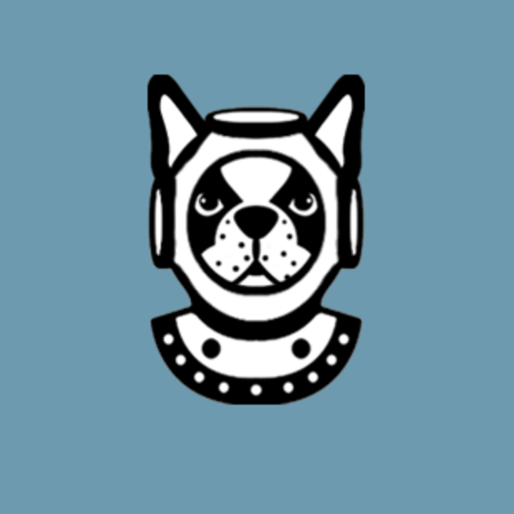 Snoutical Logo
