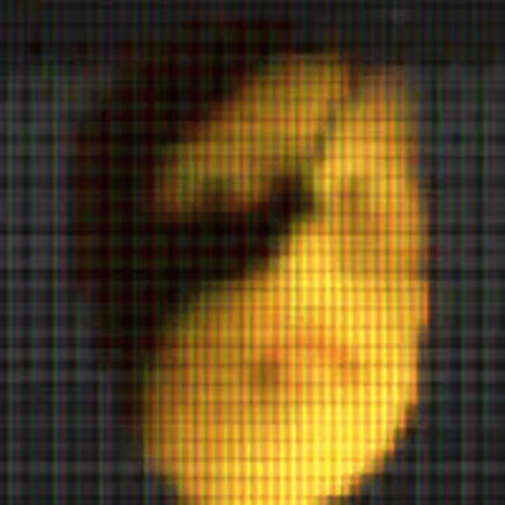 __RRINGO__ Logo