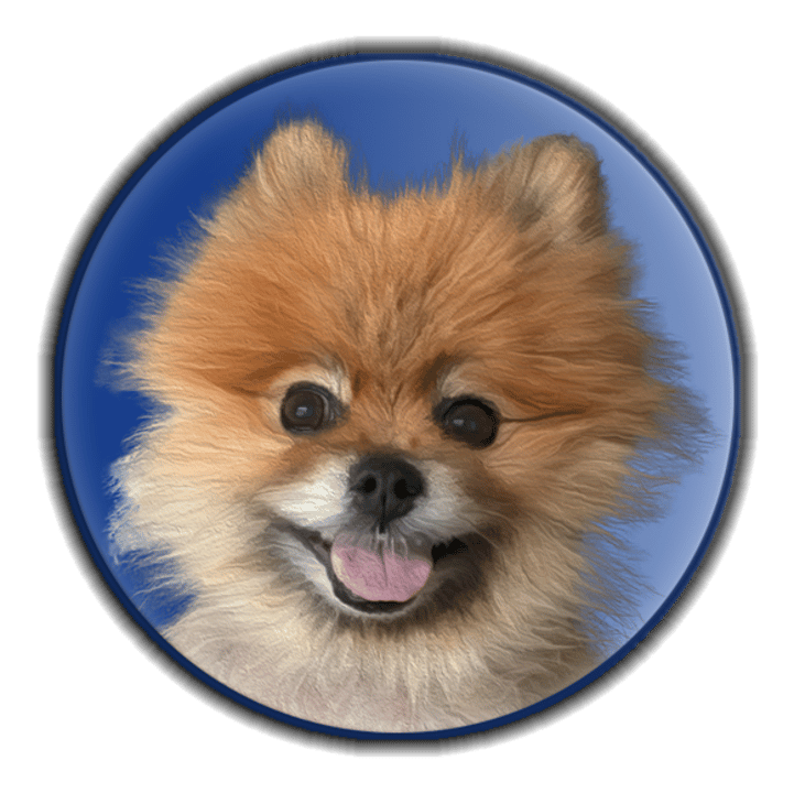 Teddy Bear Games Logo