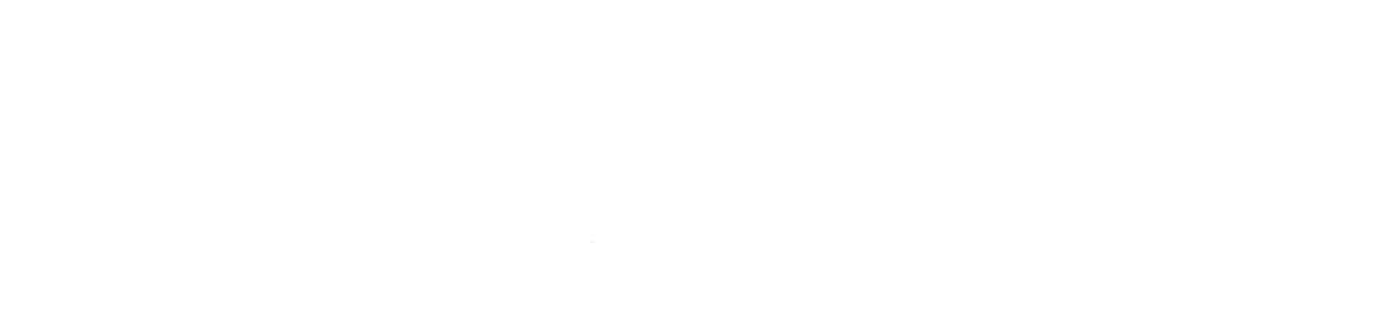 Section 9 Interactive Logo