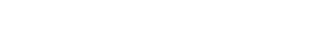 Sedleo Logo