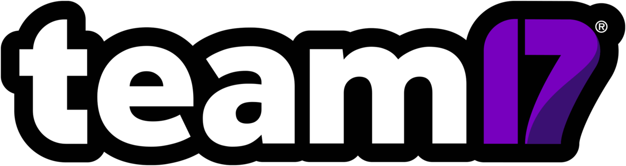 Team 17 Logo