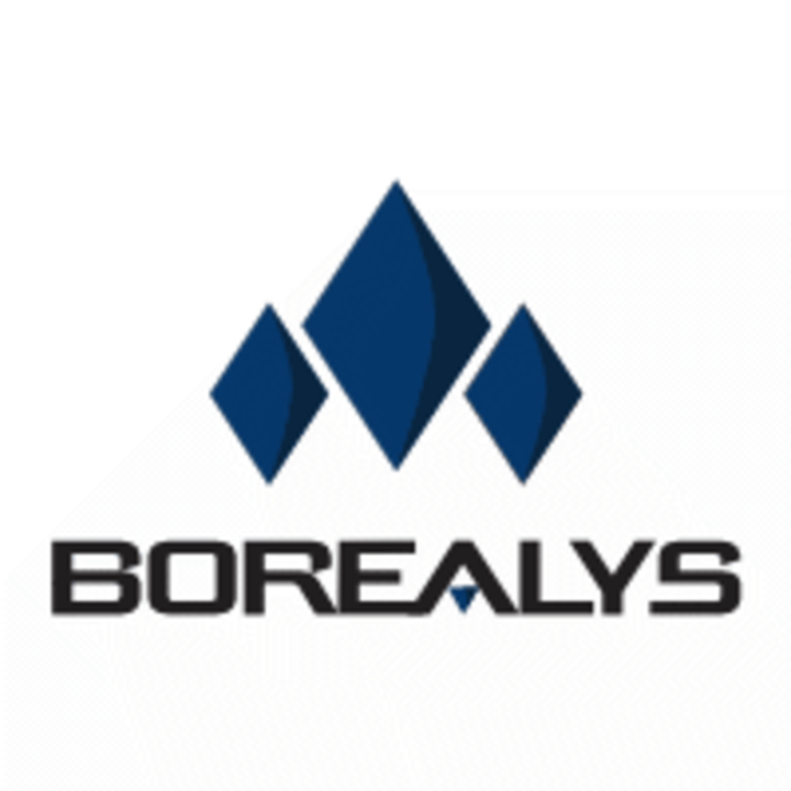 Borealys Games Logo