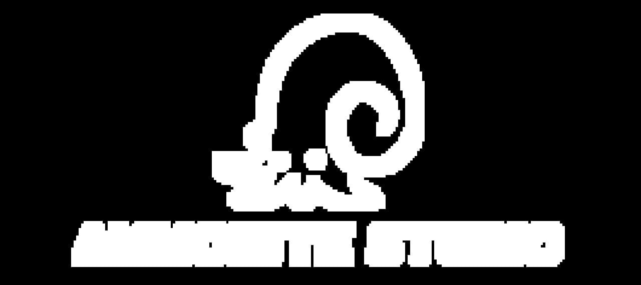 Ammonite Studio