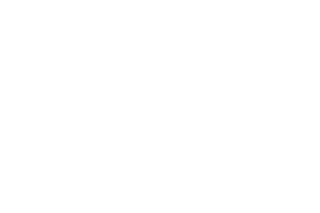 Dream Dock Logo