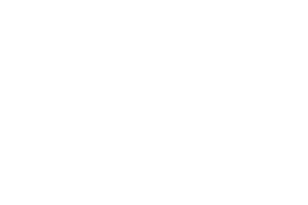Wandering Wizard Logo