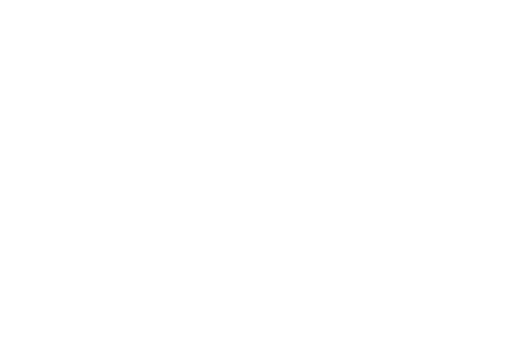 Bloo Owl Logo