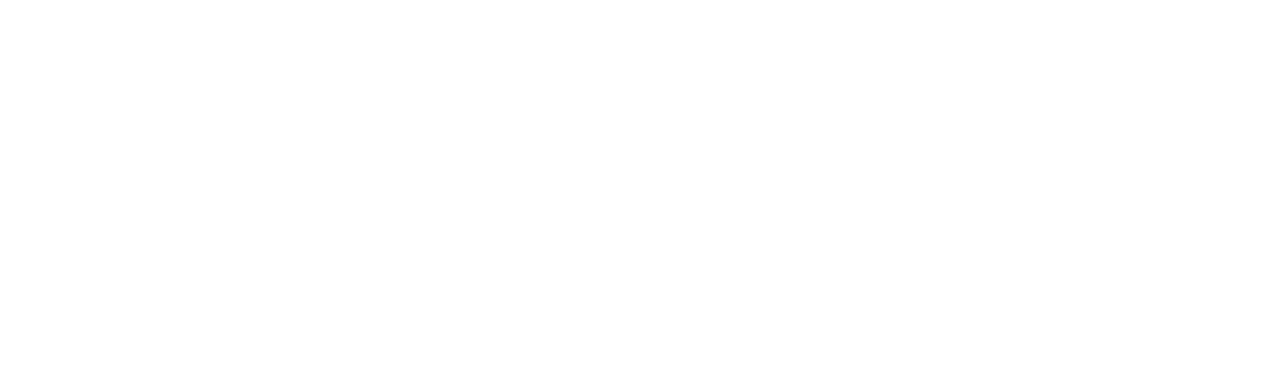 Slug Disco Logo