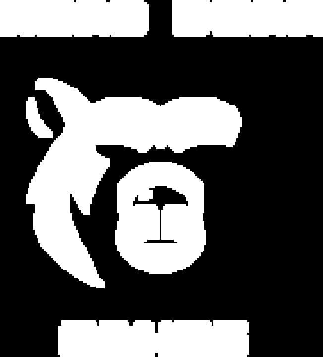 Head Bear Games