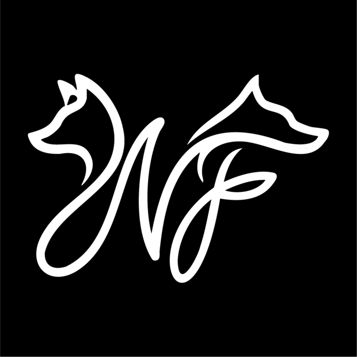 North Fox Games Logo