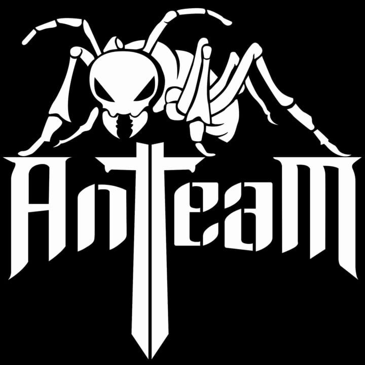 Ant Team