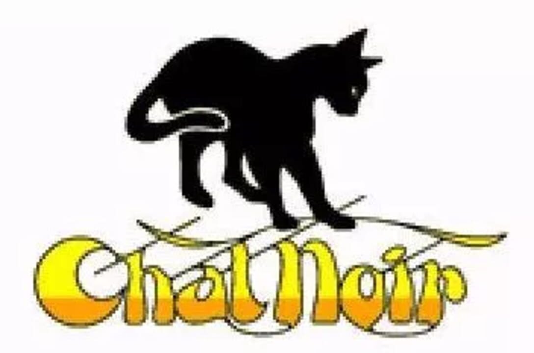 Chat Noir