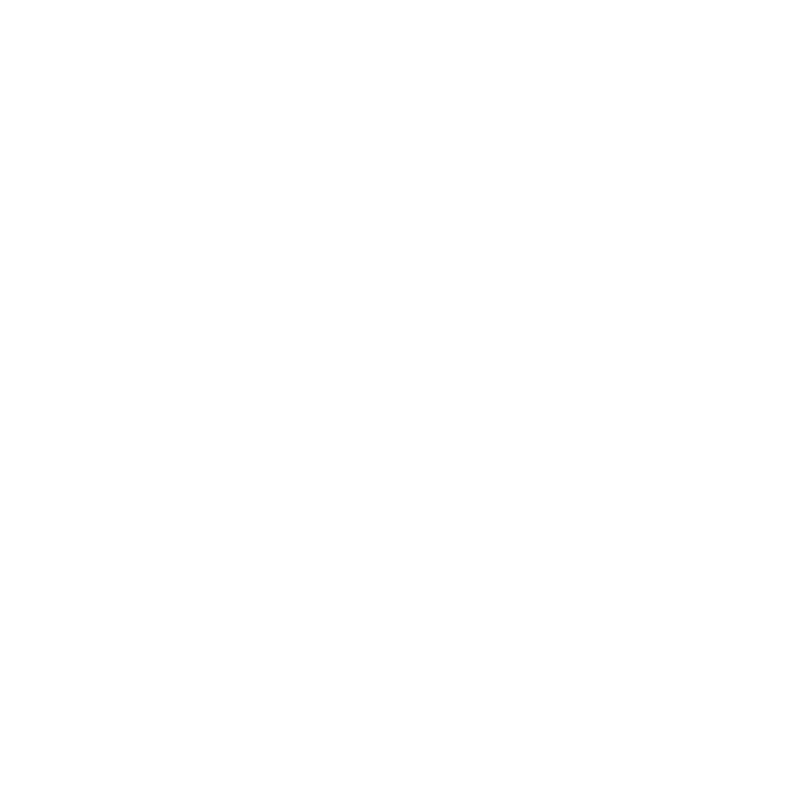 NicoWaveLab Logo