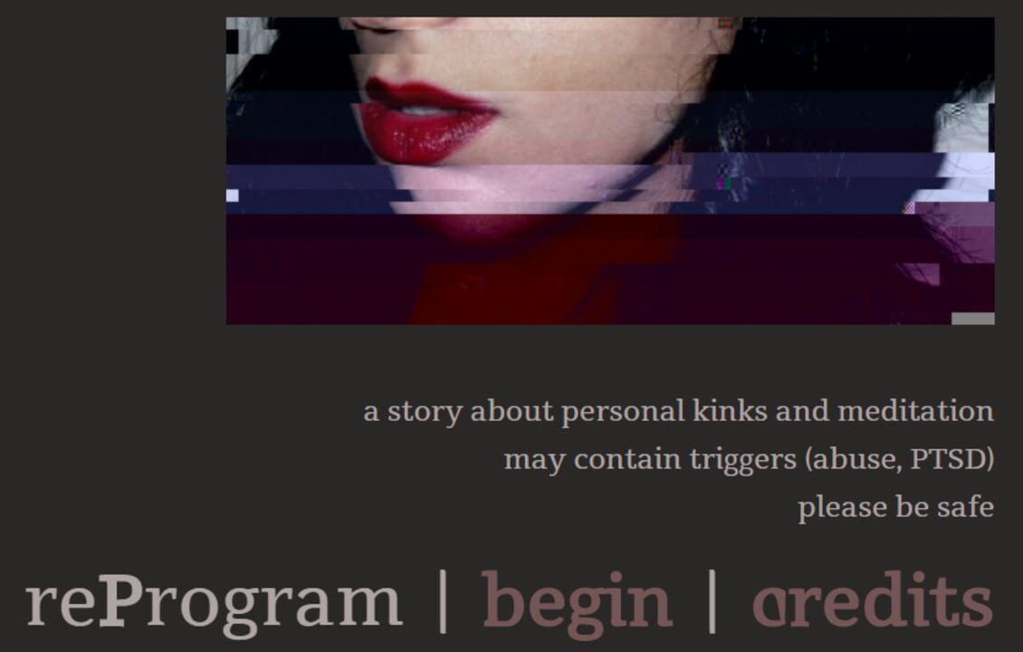 reProgram cover art