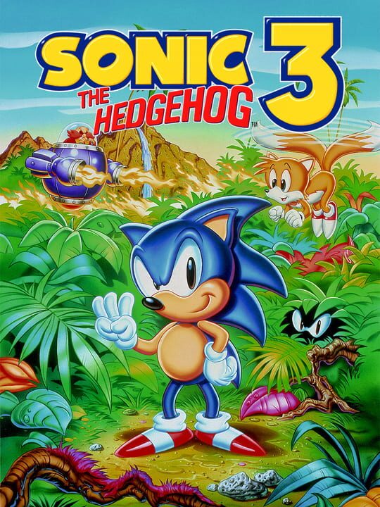Sonic the Hedgehog 3 cover art